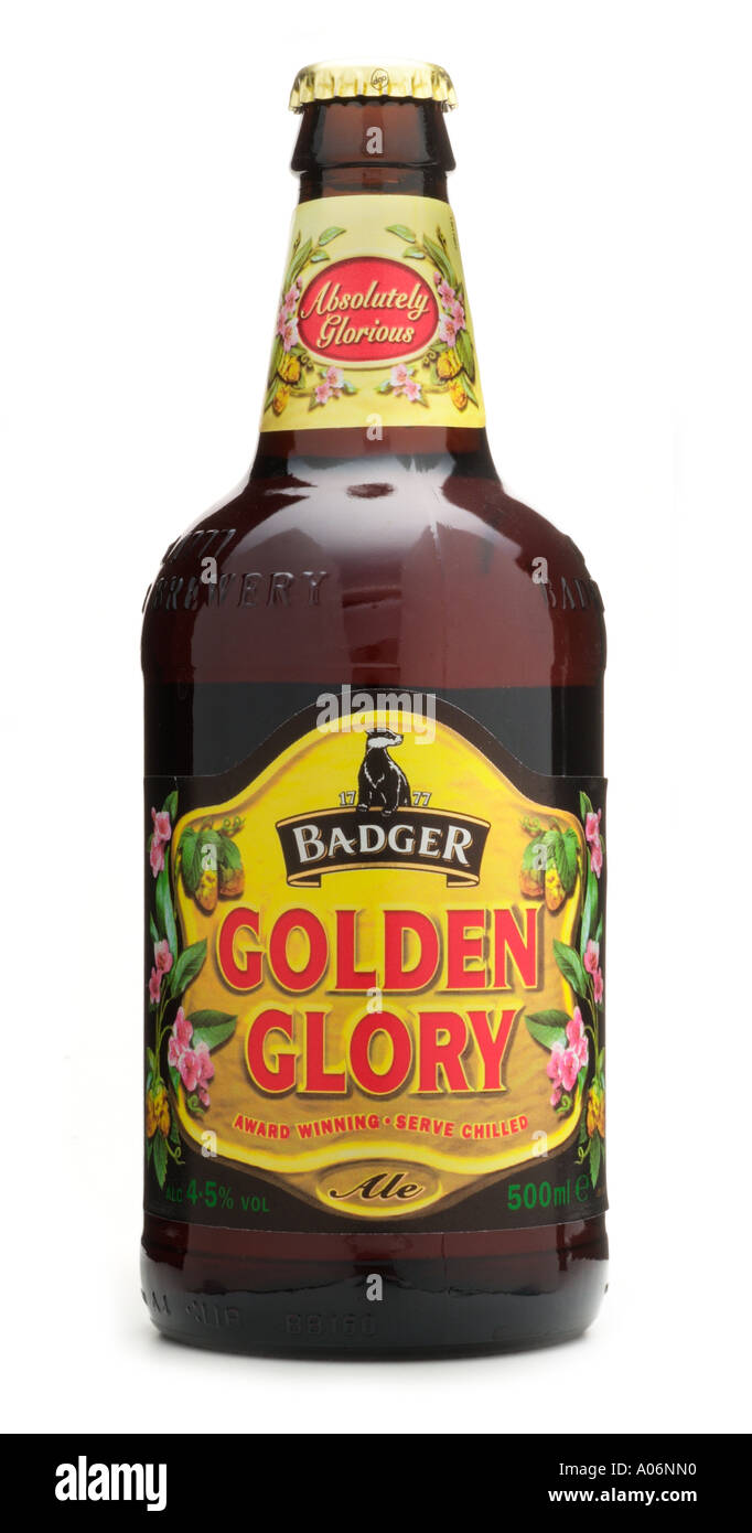 Absolut herrliche Badger Golden Glory Premium Ale floral Pfirsichblüte Melone Aroma Hall Woodhouse Blandford Straße Mary Dorset Stockfoto
