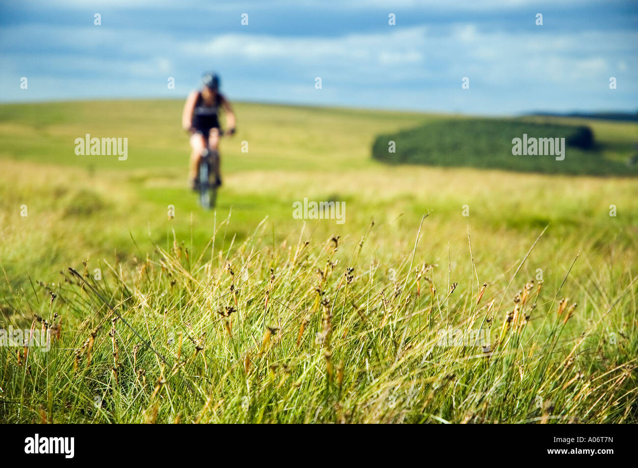 Weibliche Mountainbiker auf Crosby Ravensworth fiel in Cumbria Stockfoto