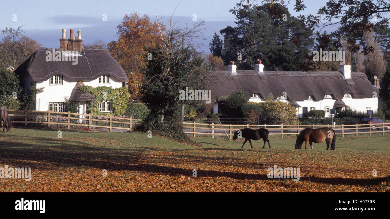 Reetgedeckte Cottages in New Forest National Park Landschaft am Swan Green in der Nähe von Lyndhurst Hampshire England UK Herbst Farben & New Forest Ponys grasen Stockfoto