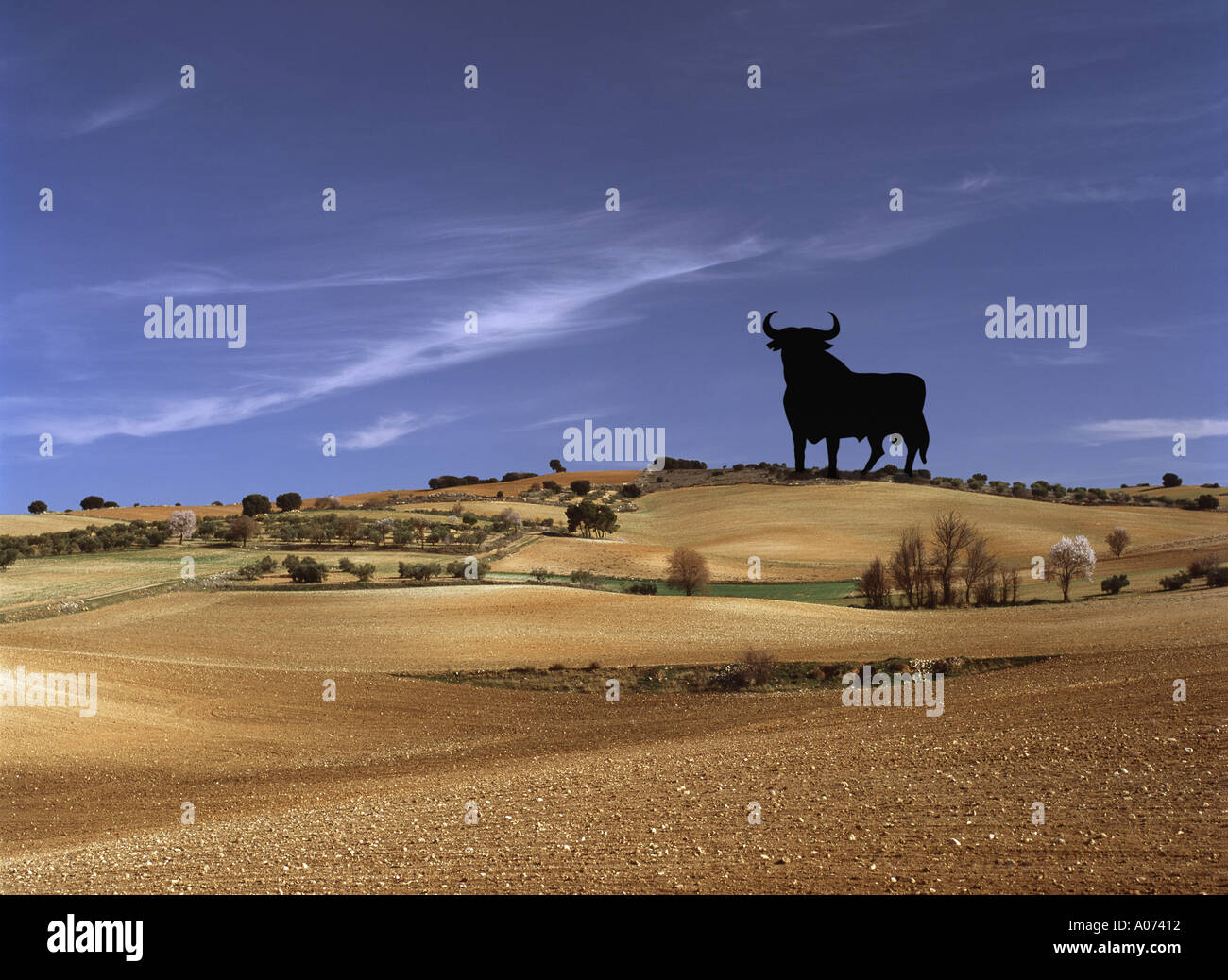Mancha Landschaft mit Osborne s Bull Toledo Spanien Stockfoto