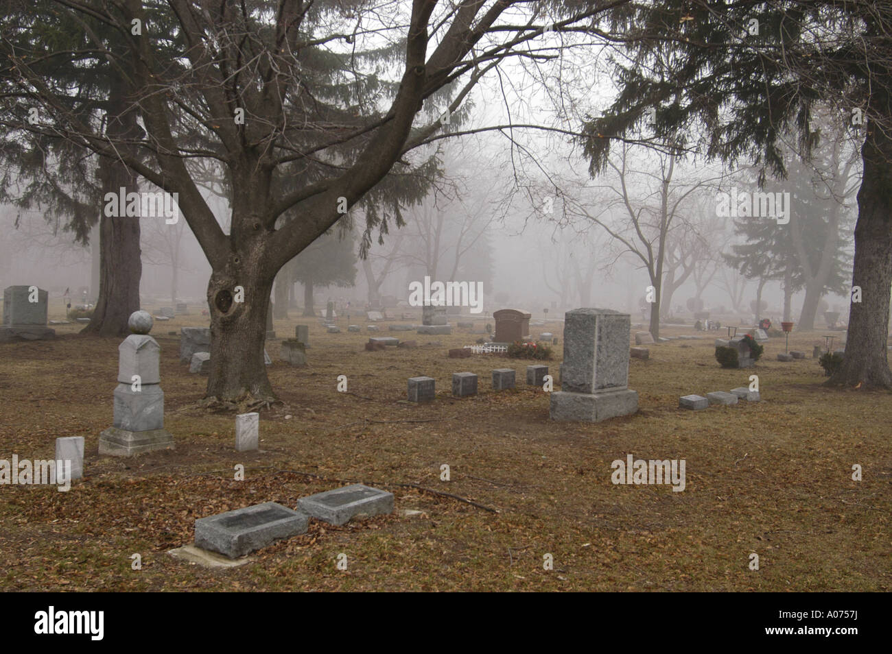 P13 145 Friedhof an nebeligen Tag 4 Stockfoto