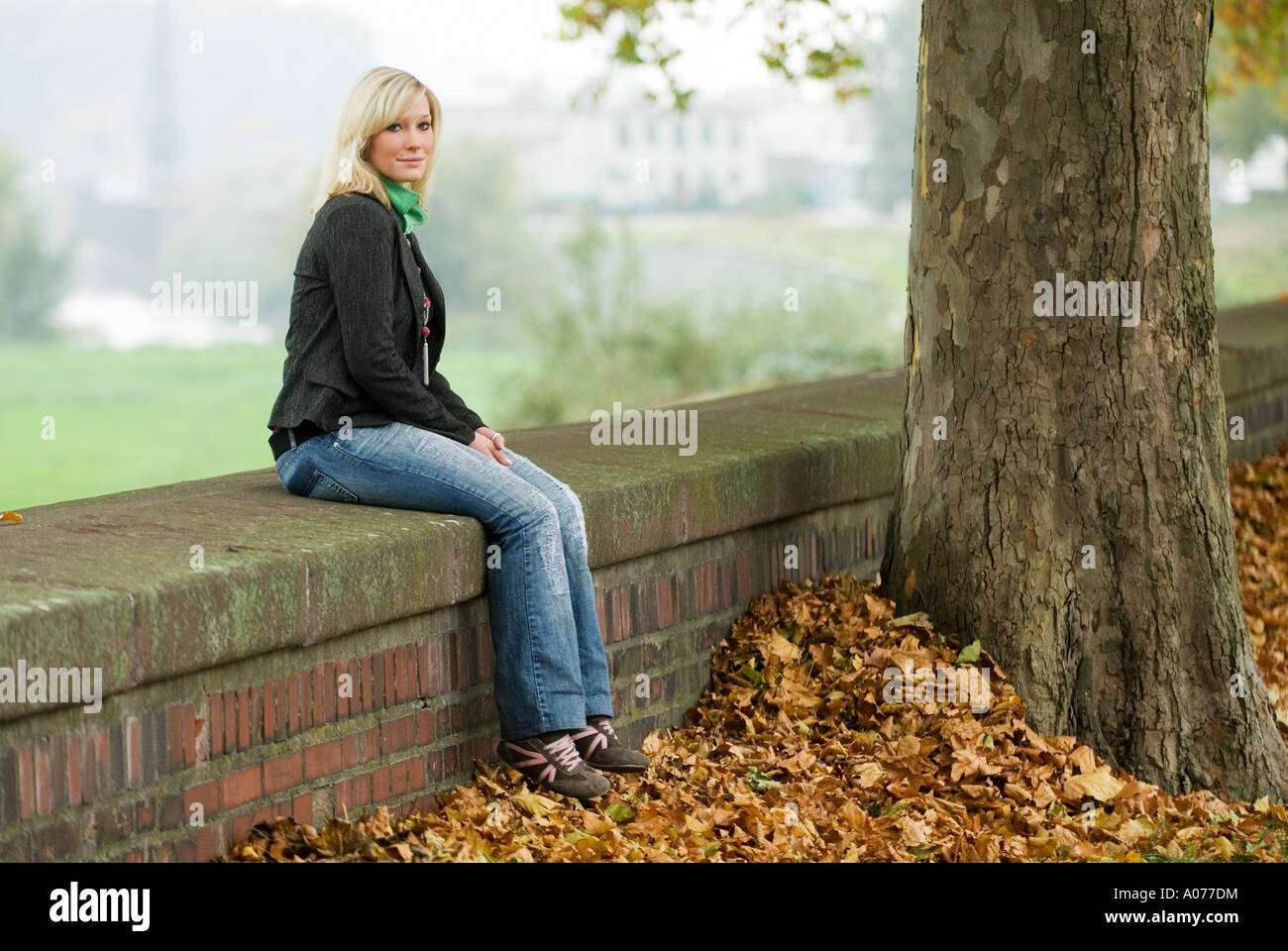 Blondes Mädchen im Alter von 16 sitzt alleine auf Steinmauer neben einem großen Baum im Herbst Stockfoto