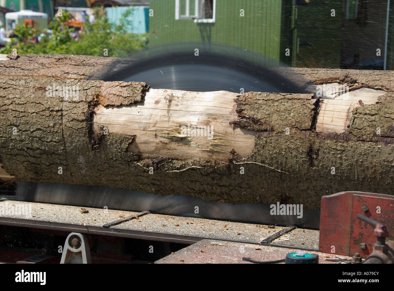 Kreisförmige Sägeblatt, Sägen durch eine lange Baum-Protokoll mit einem festen großen Durchmesser mechanisch angetriebenen macht auf einer Bank Stockfoto