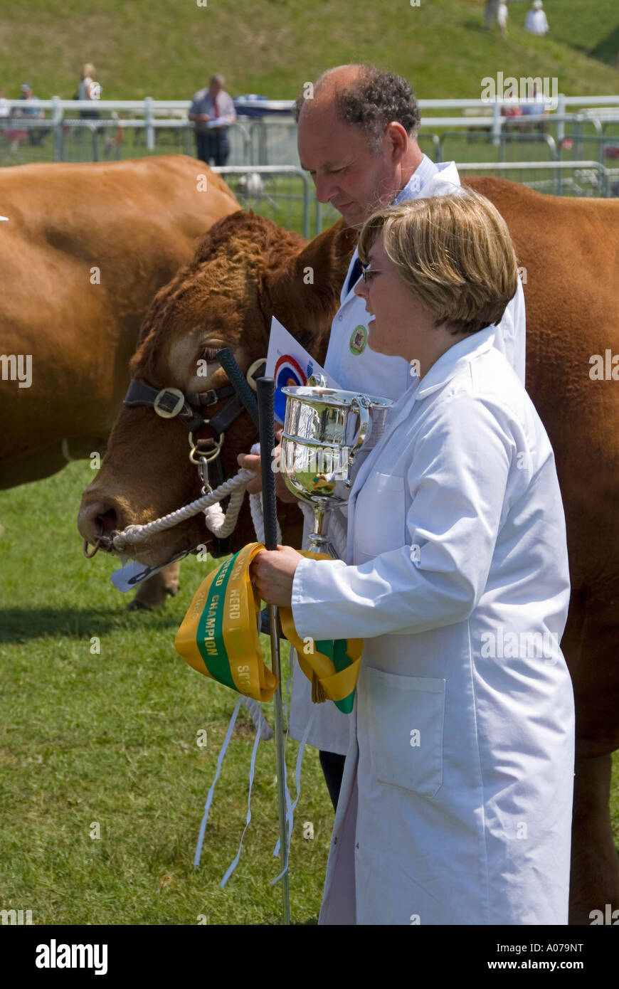 Gewinner der Trophy an Landwirtschaft zeigen Vieh Beurteilung Wettbewerb Stockfoto