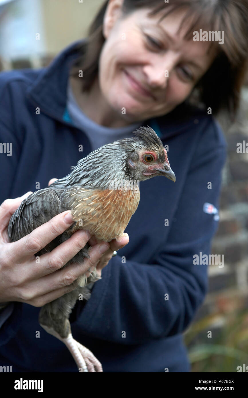 Landwirt in Händen Vogel in der Hand hält, ein Zwerg Huhn Stockfoto