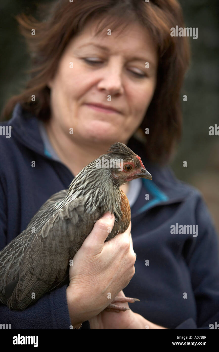 Geflügelzüchter in Händen Vogel in der Hand hält, ein Zwerg Huhn Stockfoto