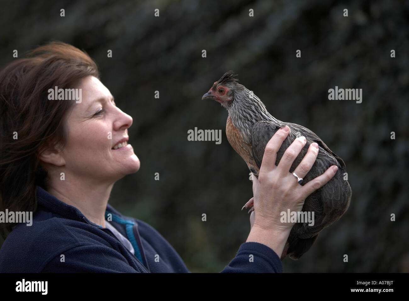 Landwirt in Händen Vogel in der Hand hält, ein Zwerg Huhn Stockfoto