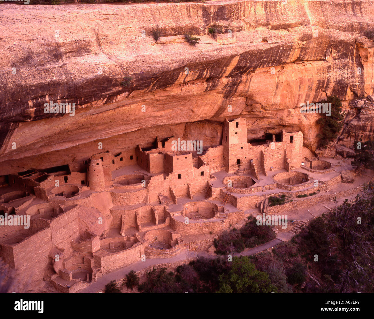 U S ein Colorado Mesa Verde N P Cliff Palace Stockfoto