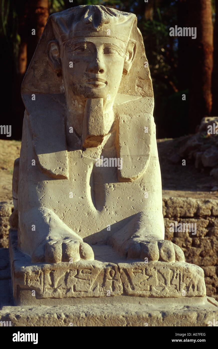 Unter der Leitung von menschlichen Sphinx in Luxor-Tempel, Luxor, Ägypten. Stockfoto