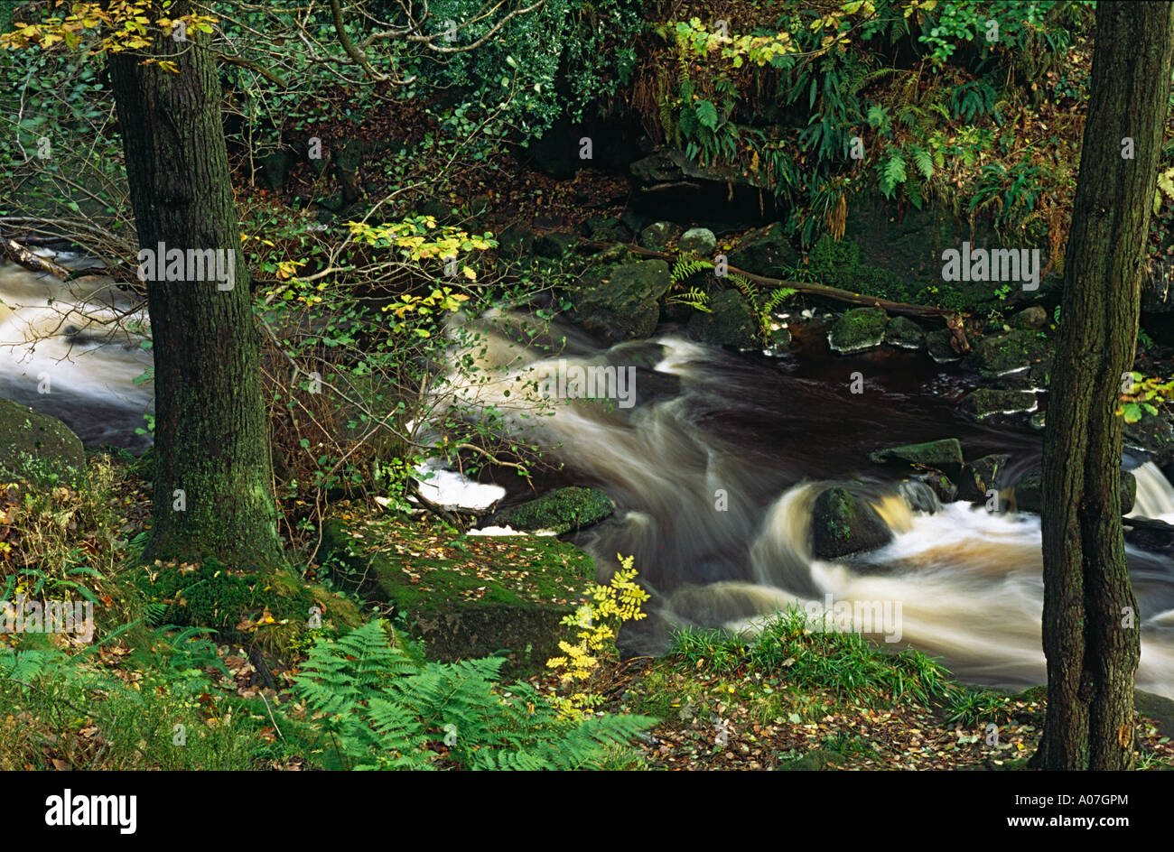 SCHNELL FLIEßENDE STROM DURCH PADLEY SCHLUCHT DERBYSHIRE Stockfoto