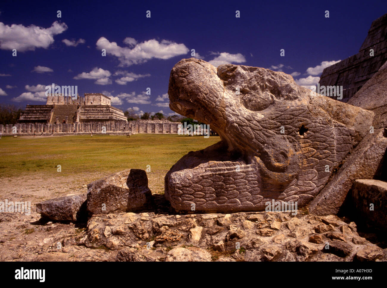 Tempel des Kukulcan, El Castillo, archäologische Stätte Chichen Itza, Chichen Itza, gefiederte Schlange Kopf, Bundesstaates Yucatán, Mexiko Stockfoto