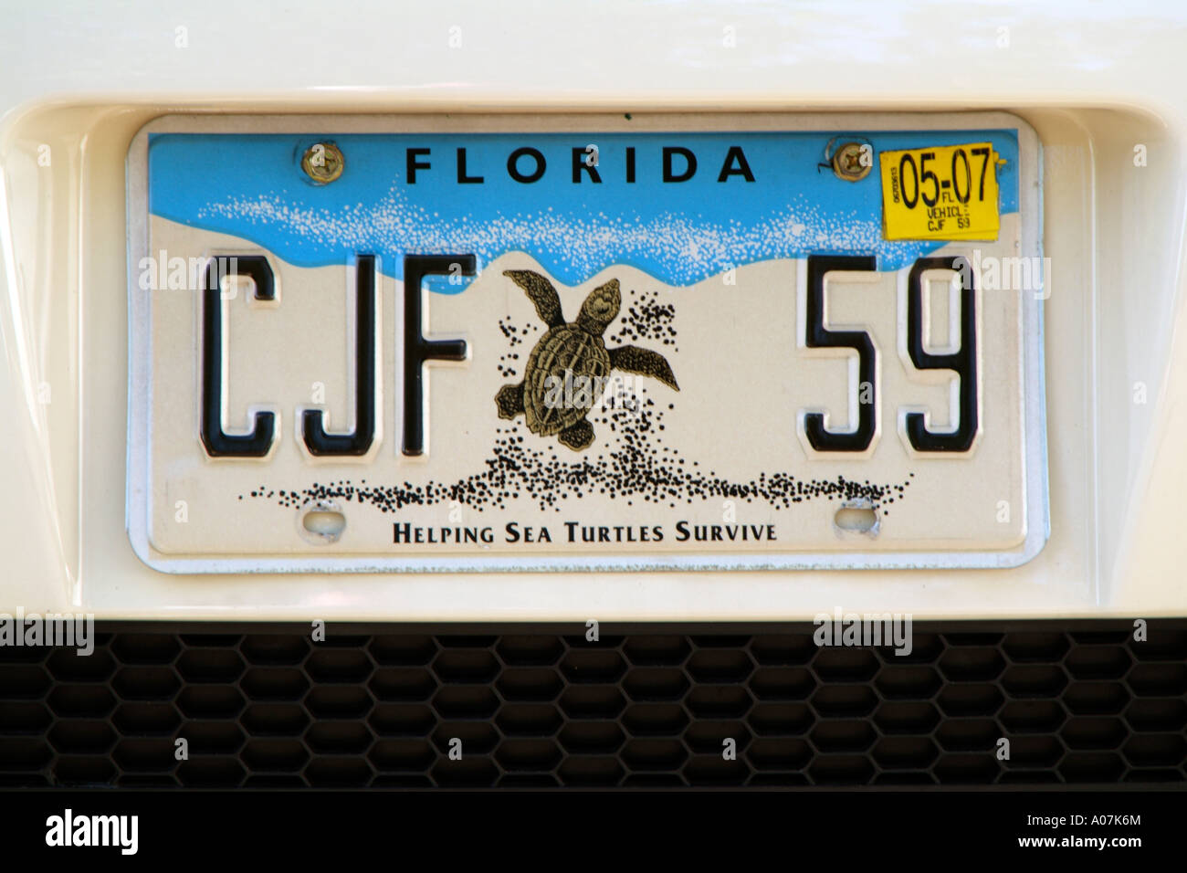 Meeresschildkröten Lizenz Nummernschild am Auto. Florida-USA Stockfoto