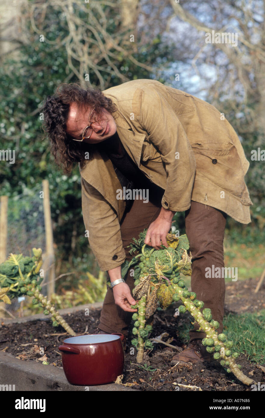 Hugh Fearnley-Whittingstall TV Essen Koch sammelt Sprossen im River Cottage in Dorset Stockfoto