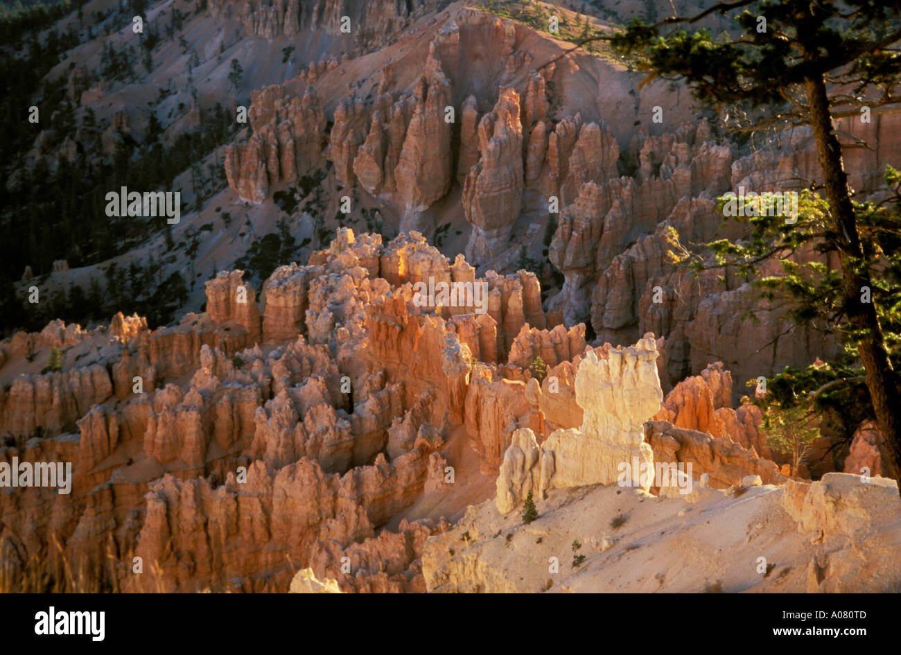 Silent City gesehen vom Inspiration Point Bryce Canyon National Park Utah UT SW USA Stockfoto