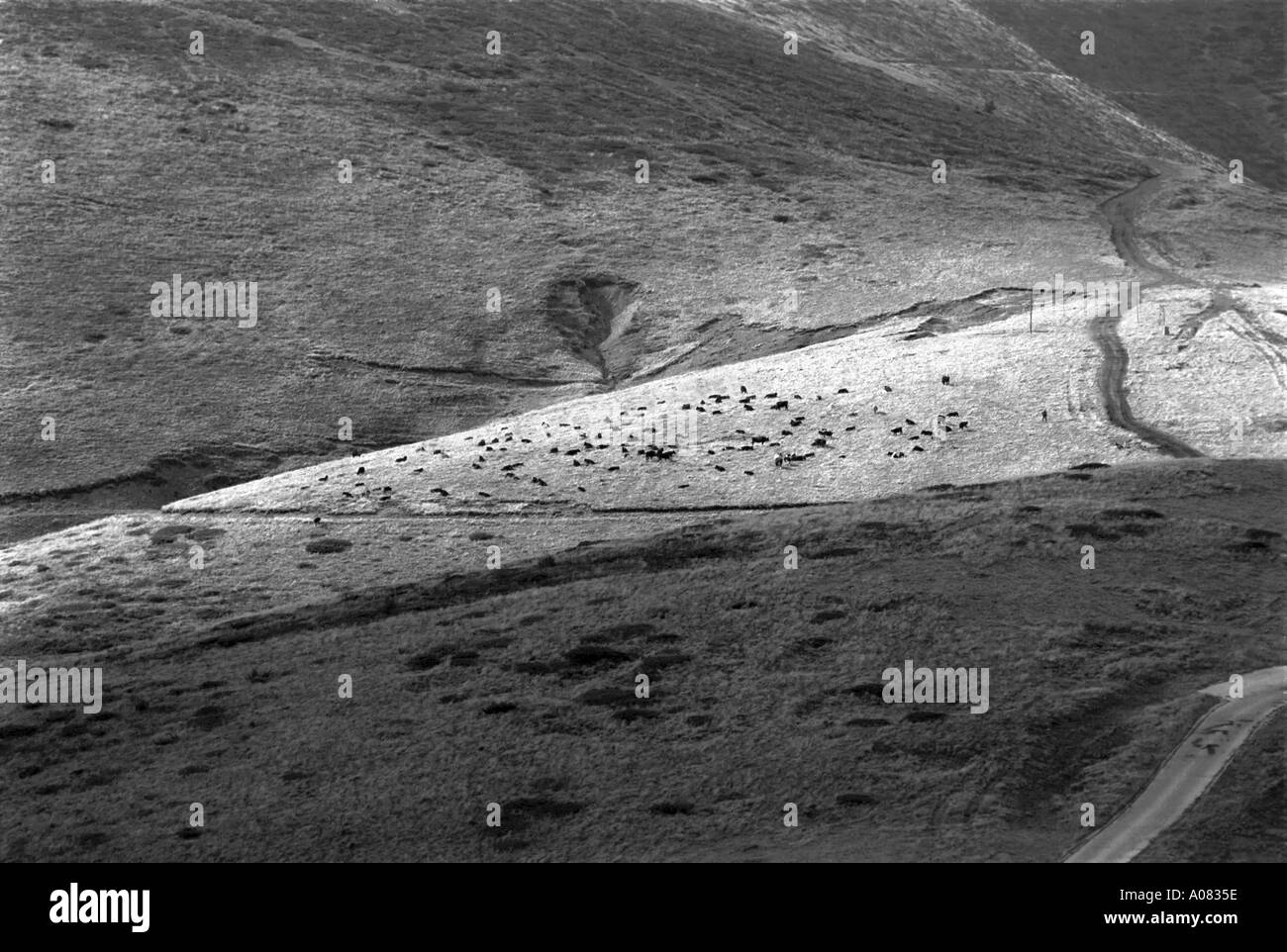 Landschaft Gebirge Bulgarien Stockfoto