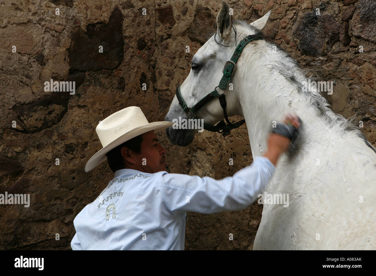 Cowboy Pferd auf einer Rinderfarm in Mexiko waschen Stockfoto