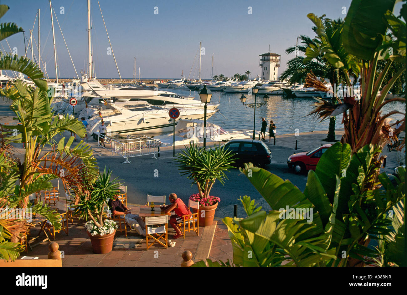 Sitzplätze im Schatten der Topfpflanzen Palmen auf einer Terrasse oberhalb der Yacht gesäumten Promenade von Portals Vells im äußersten Südwesten der Bucht von Palma Stockfoto