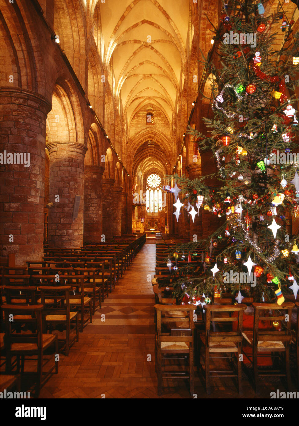 dh St Magnus Cathedral KIRKWALL ORKNEY Scottish Orkneys Cathedrals at Weihnachtsbaum und Gang innen Weihnachten Kirche Dekorationen Stockfoto