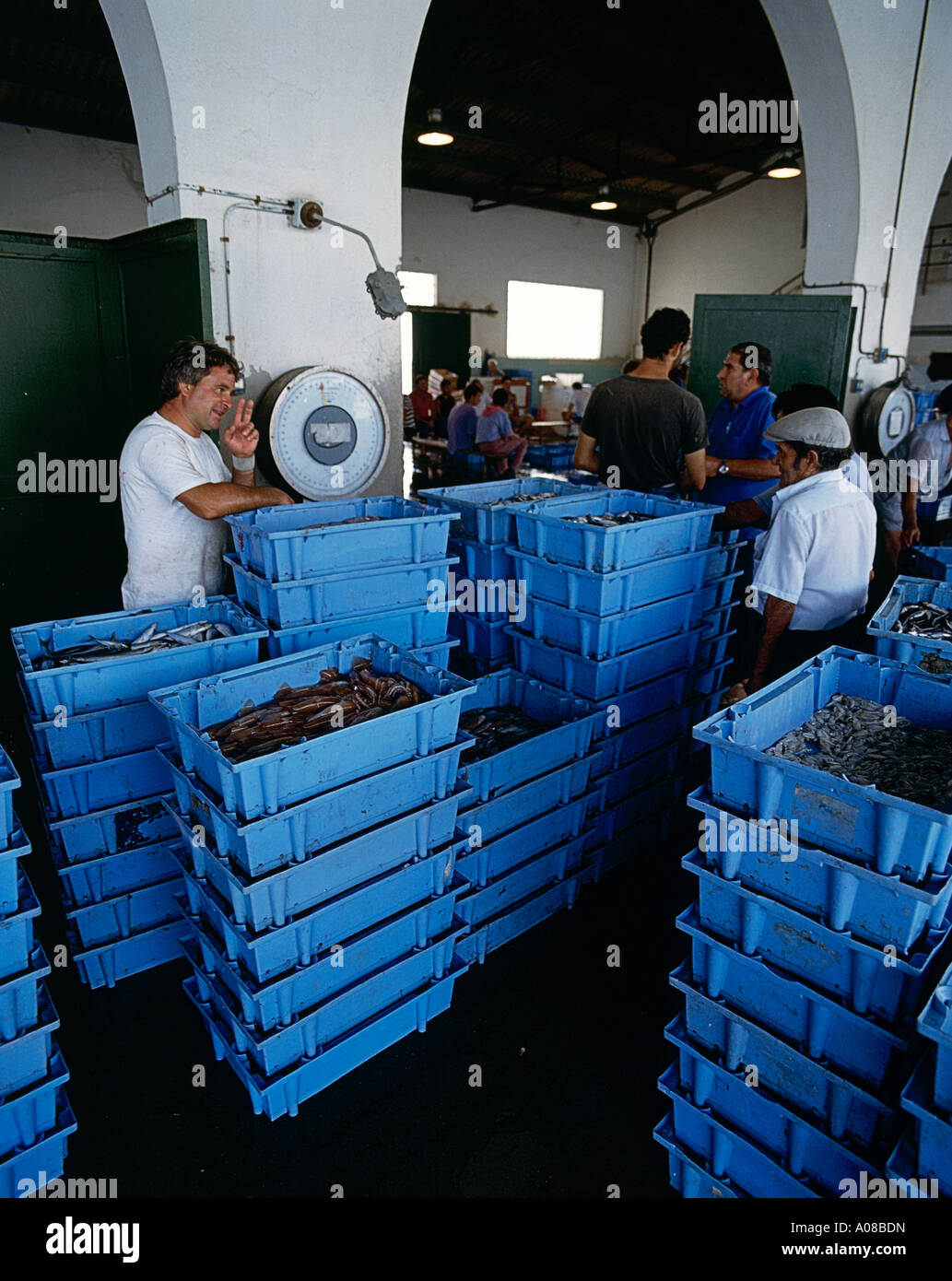Händler mit einem Gewicht von blauen Kästchen gefüllt mit frisch gefangenen Fisch auf dem täglichen Fischmarkt statt auf dem Steg neben dem Hafen in der Stadt Arenys de Mar an der Costa Brava Stockfoto