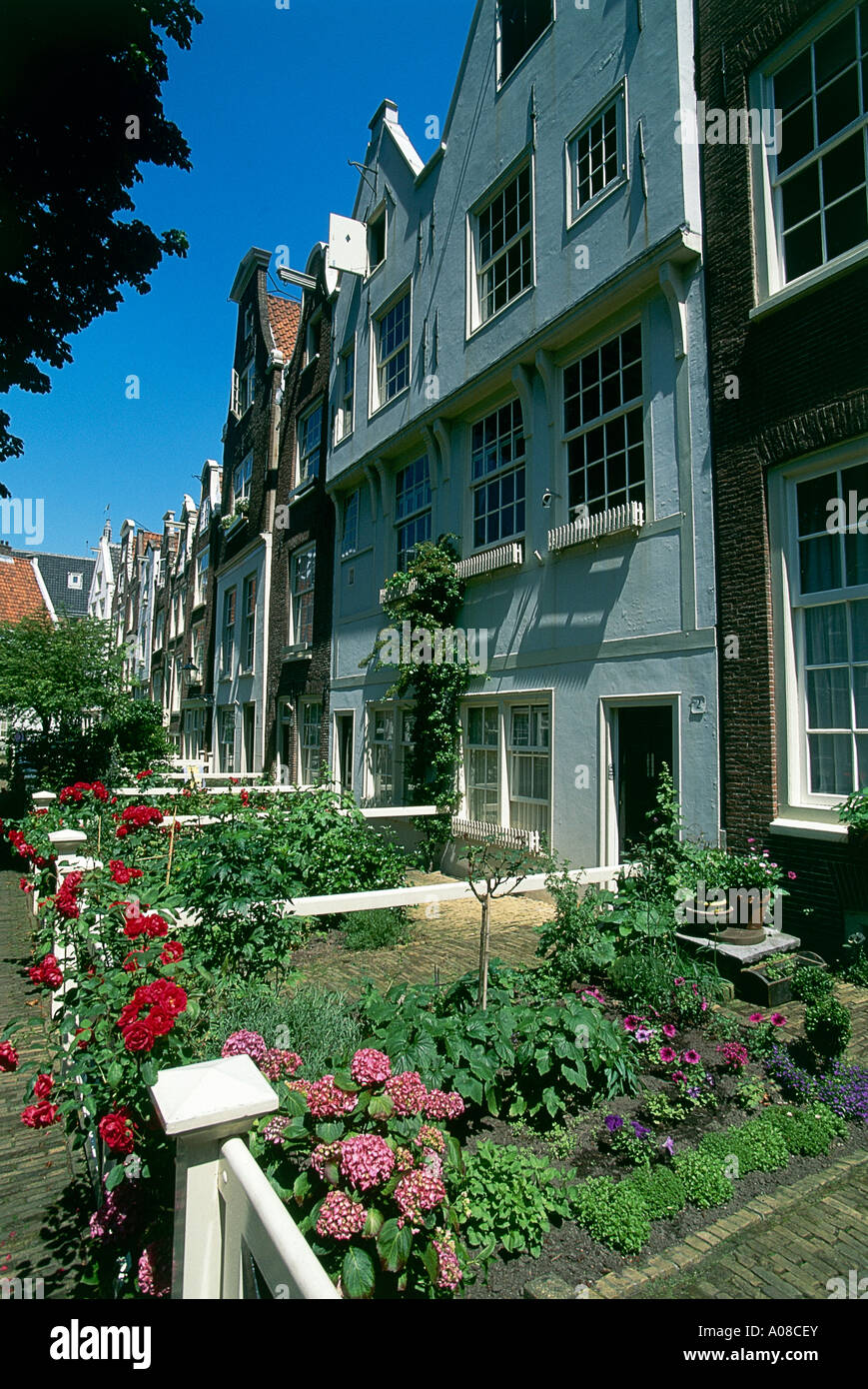 Einen Blick auf einige der Gärten im Bereich Beginjhof von Amsterdam noch heute von unverheirateten Frauen besetzt Stockfoto