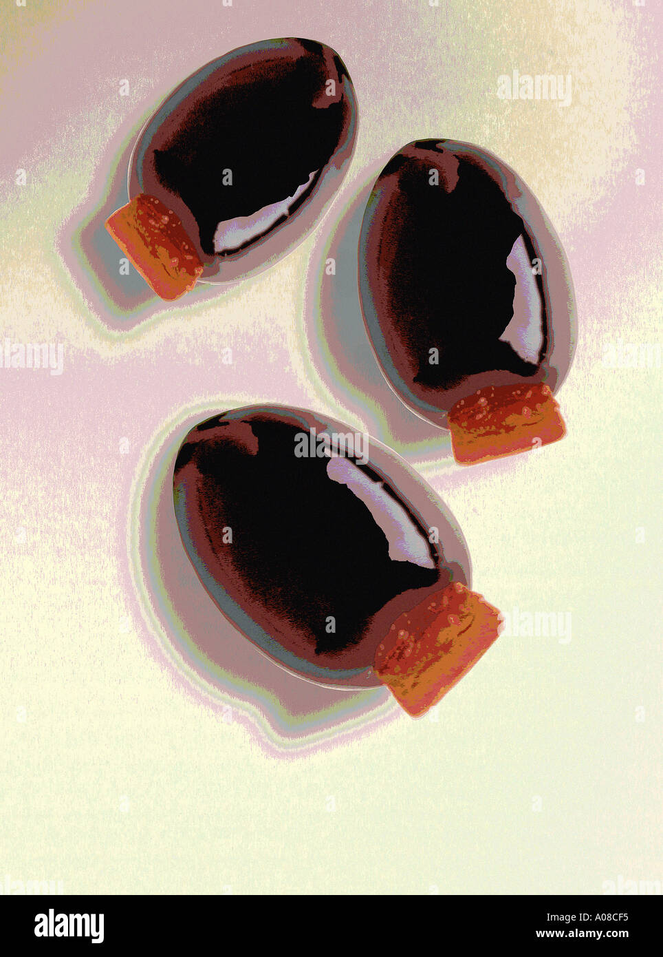 schwarze Oliven Closeup Digitalfoto Illustration - Komposition mit 3 großen schwarzen gefüllte Oliven Stockfoto