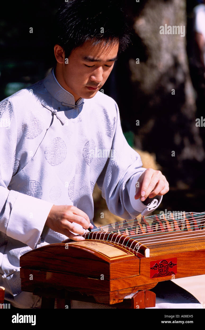 Orientalische Mann spielen chinesische Zither / Harfe (aka Guzheng), Vancouver, BC, Britisch-Kolumbien, Kanada Stockfoto