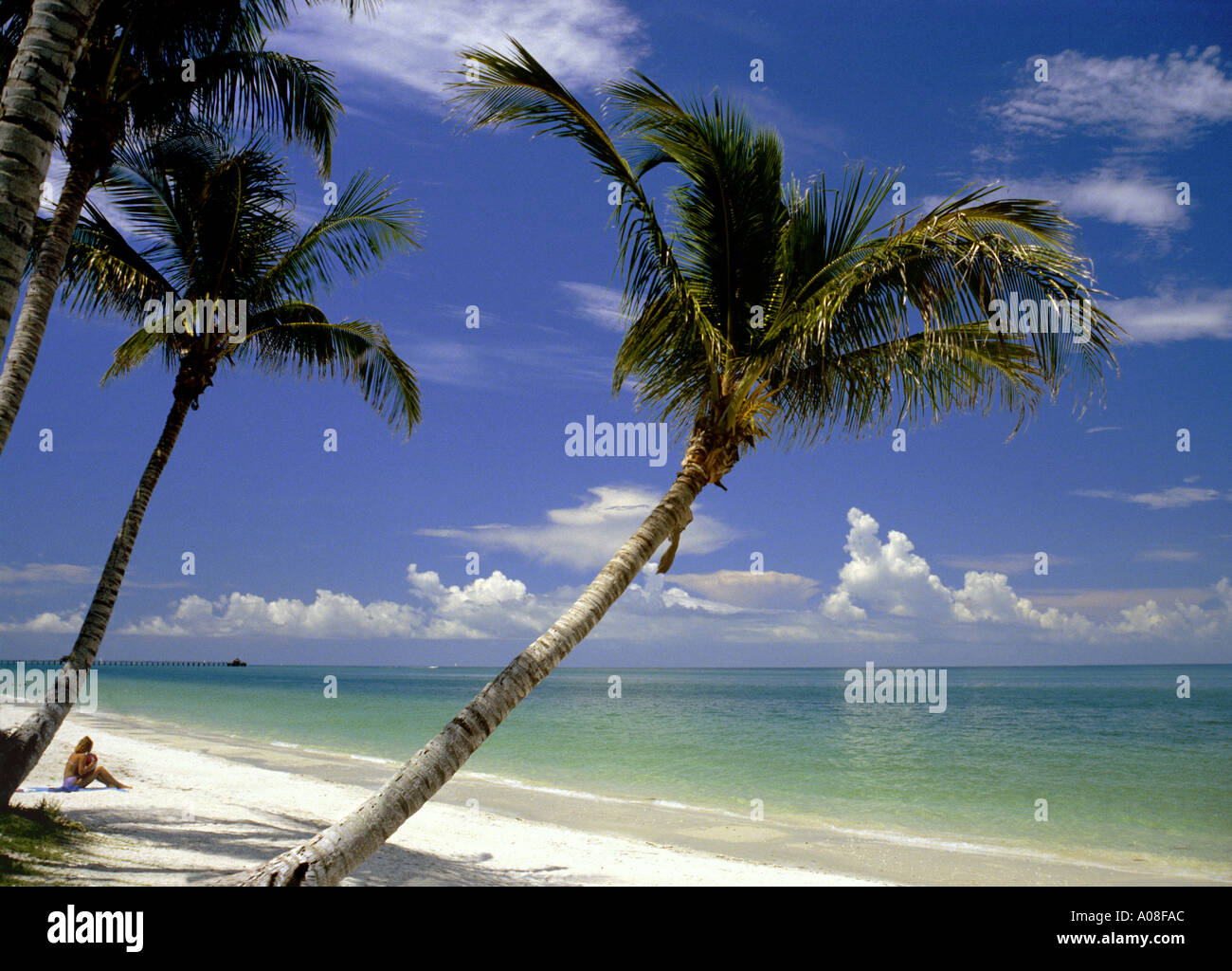 Gulf Coast Beach Ft Myers Florida USA Stockfoto