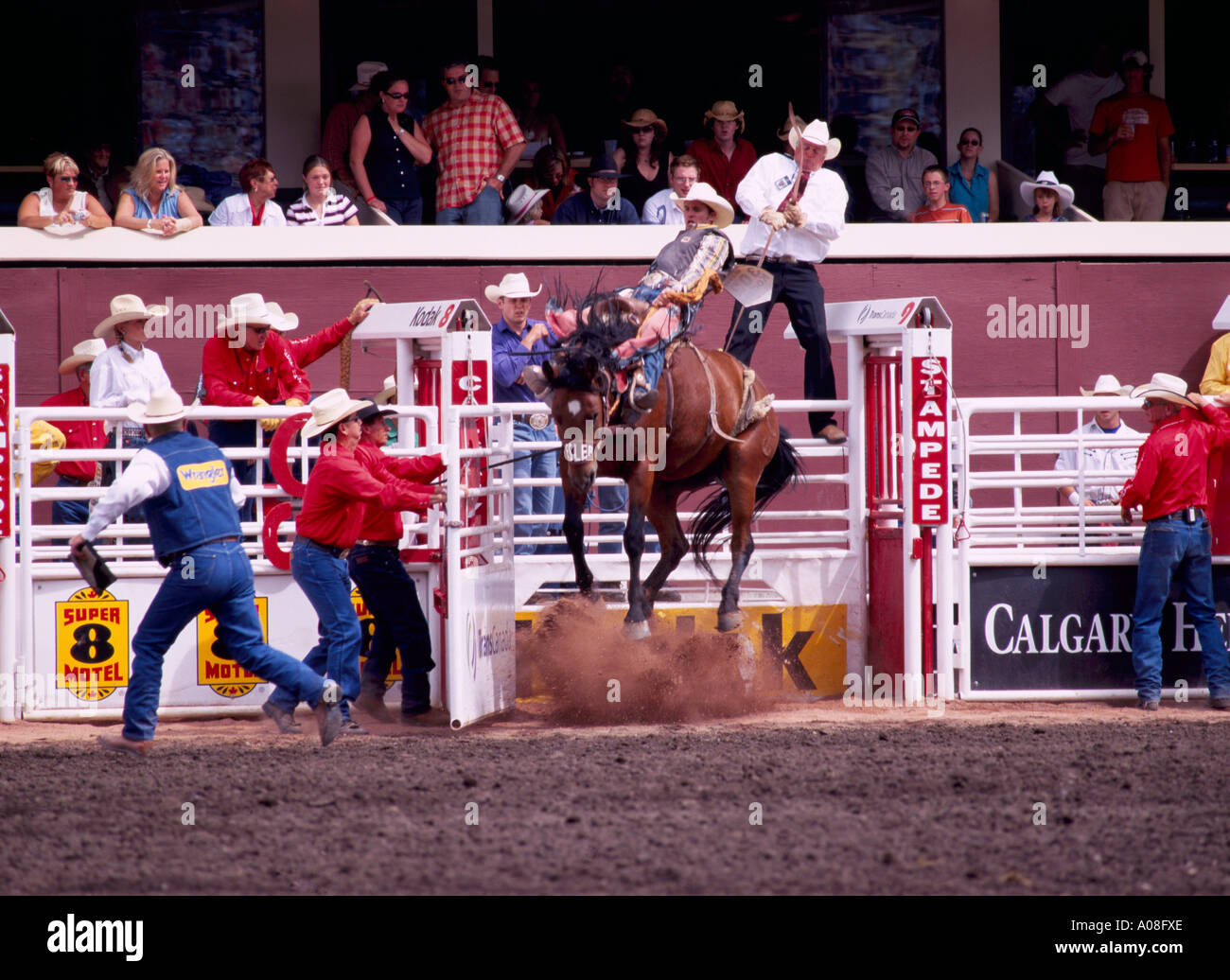 Sattel Bronc Reiten auf "Calgary Stampede" Calgary Alberta Kanada Stockfoto