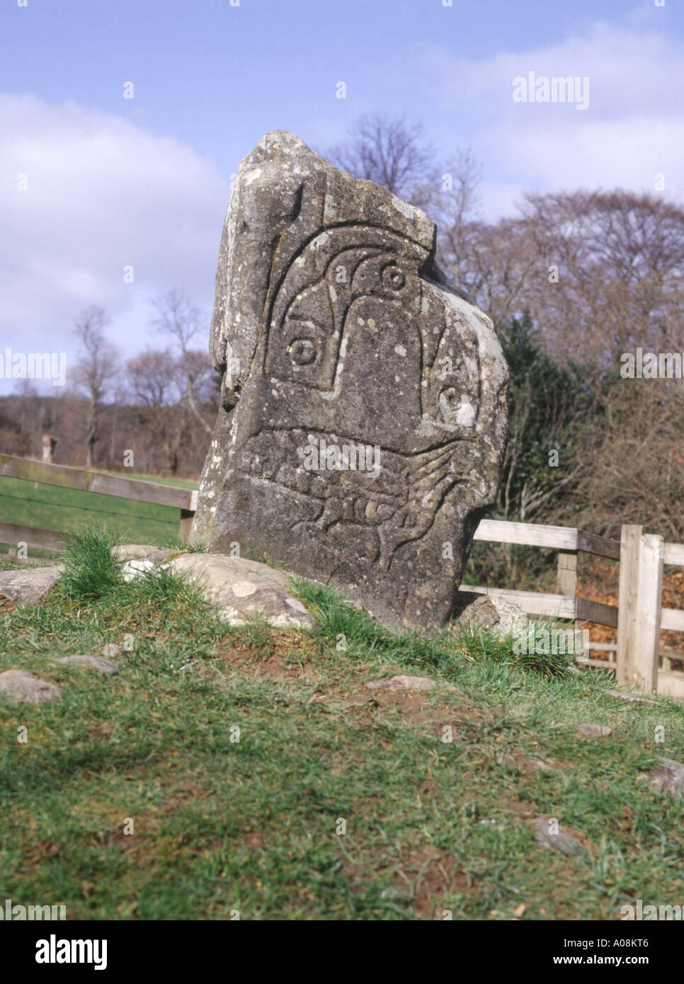 dh Eagle Stone Pictish Art STRATHPEFFER CROMARTY ROSS Rock Pikt Prähistorische schottland Skulptur großbritannien keltische Steine geschnitzte Pikte Stockfoto