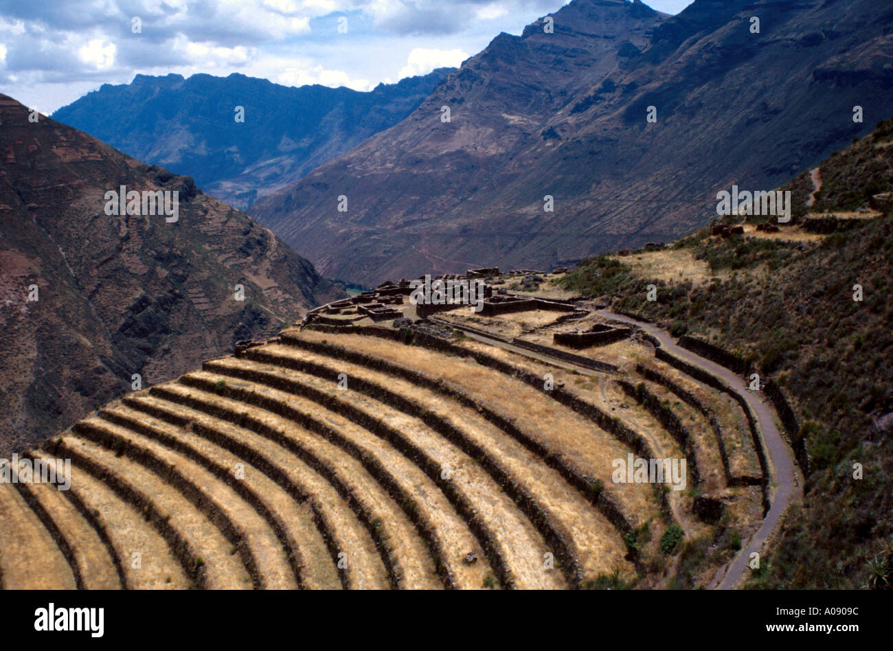 Inka-Terrassen, Pisac, Peru, Südamerika Stockfoto