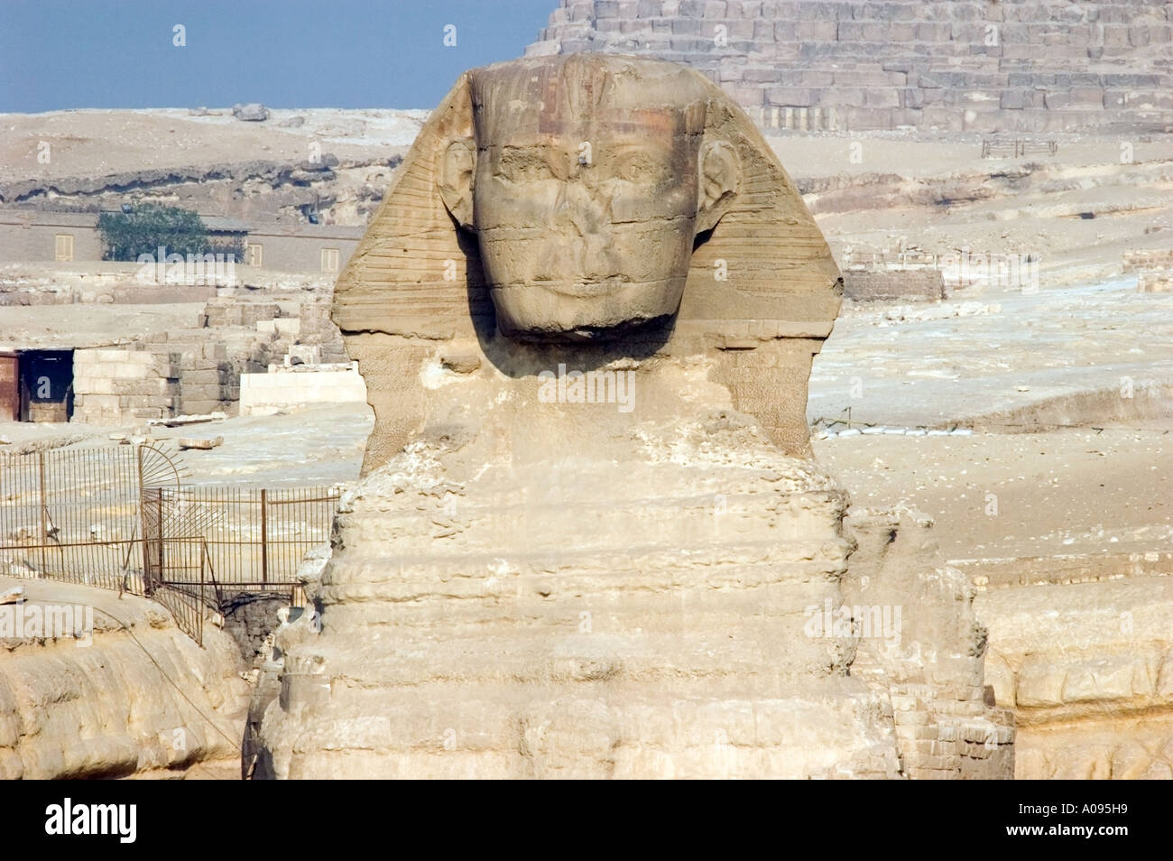 Die Sphinx sitzt vor den Pyramiden von Gizeh, Kairo, Ägypten Stockfoto