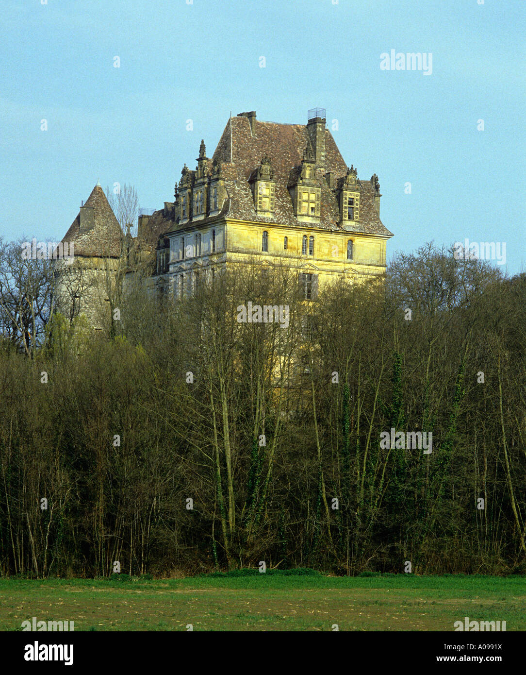 Chateau Lanquais typische Dordogne Schloss mit warmen Sandstein Hinweis Metallkäfige auf Schornsteine, Störche nisten zu entmutigen Stockfoto