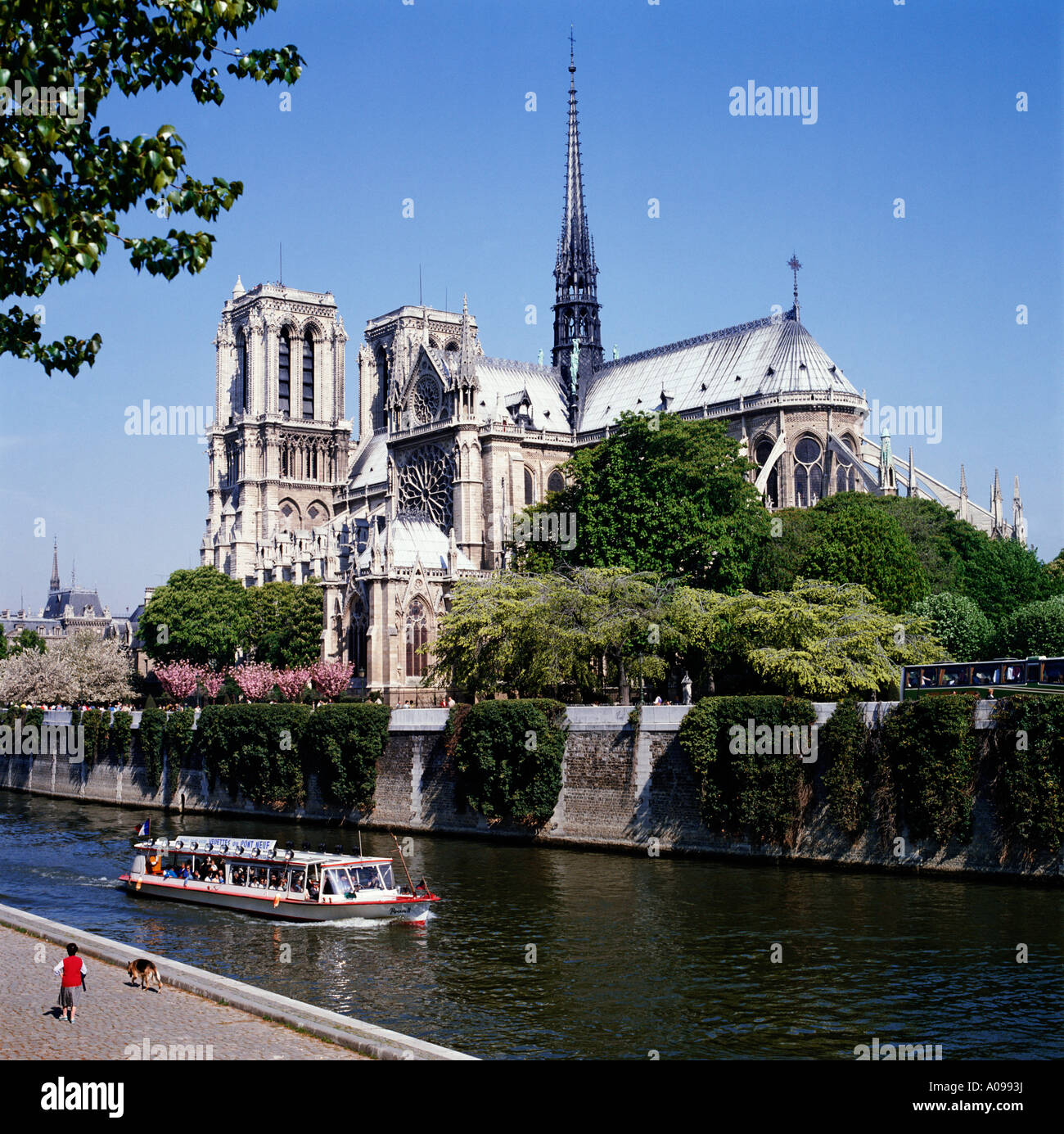 Notre-Dame in Fluss Seine Paris Stockfoto