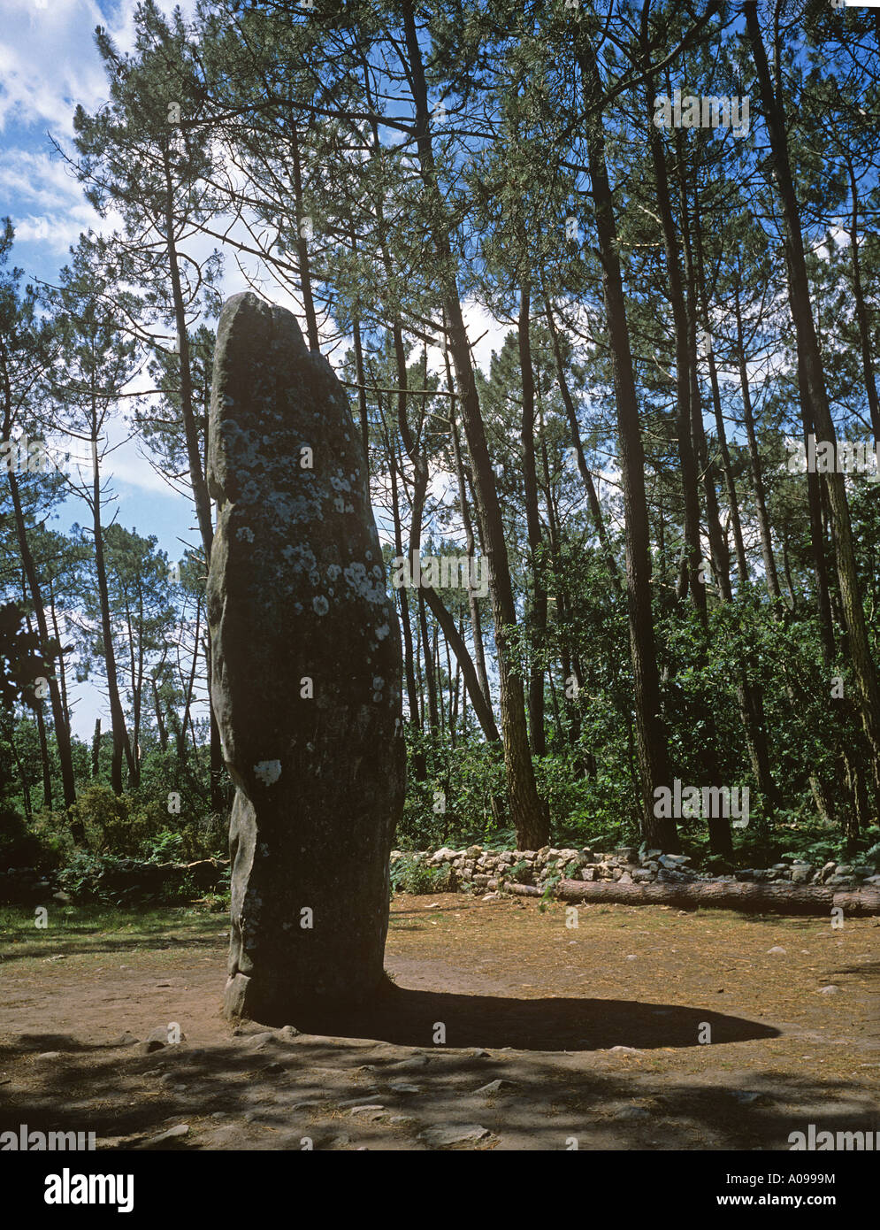 GEANT de Manio 6 5 Meter Menhir auf einer Waldlichtung 3 km NE von Carnac Stadt Bretagne Stockfoto