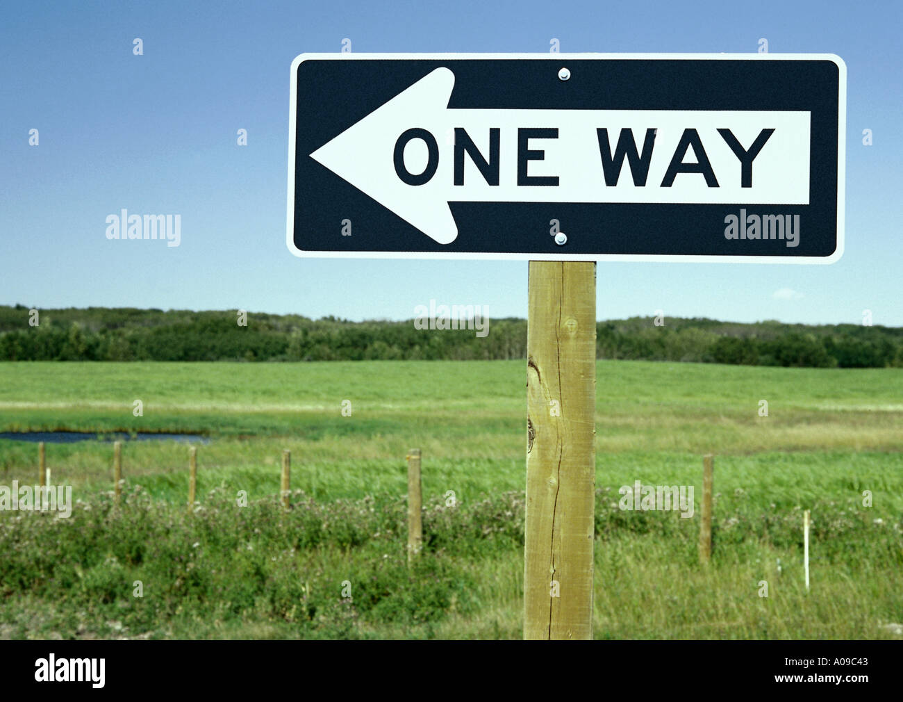 Rechteckige ONE WAY directional Straßenschild mit Pfeil Stockfoto