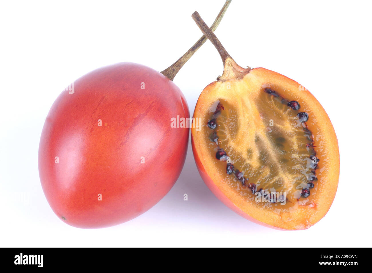 Baum Tomate (Cyphomandra Betacea, Cyphomandra Crassicaulis), Verbreitung: Südamerika, Obst geschnitten, Querschnitt Stockfoto