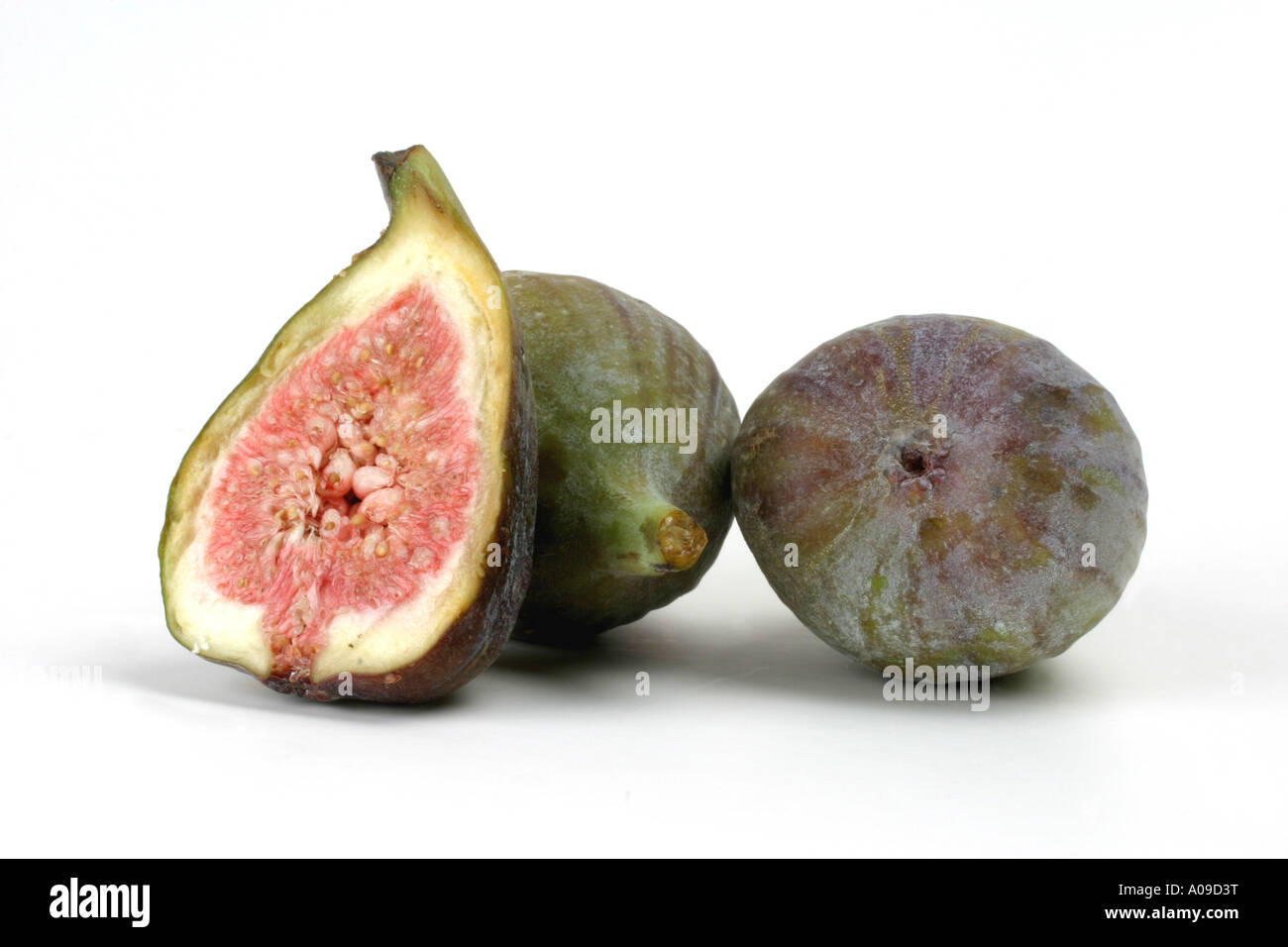 essbare Feigen, gemeinsame Feigen (Ficus Carica), Herkunft: Ostasien Stockfoto