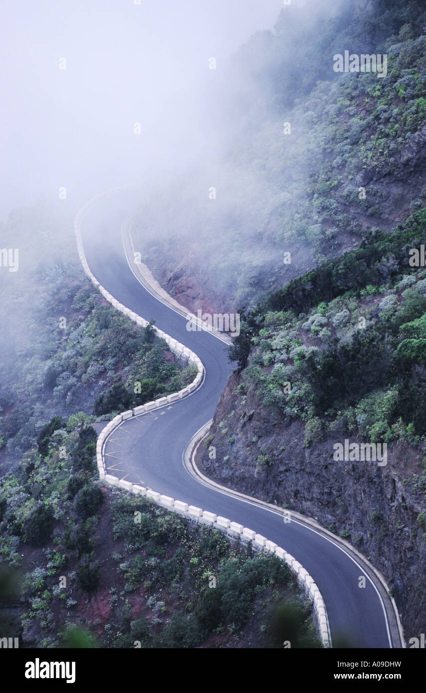 Serpentine im Nebel, Spanien, Teneriffa, Montanas de Anaga Stockfoto