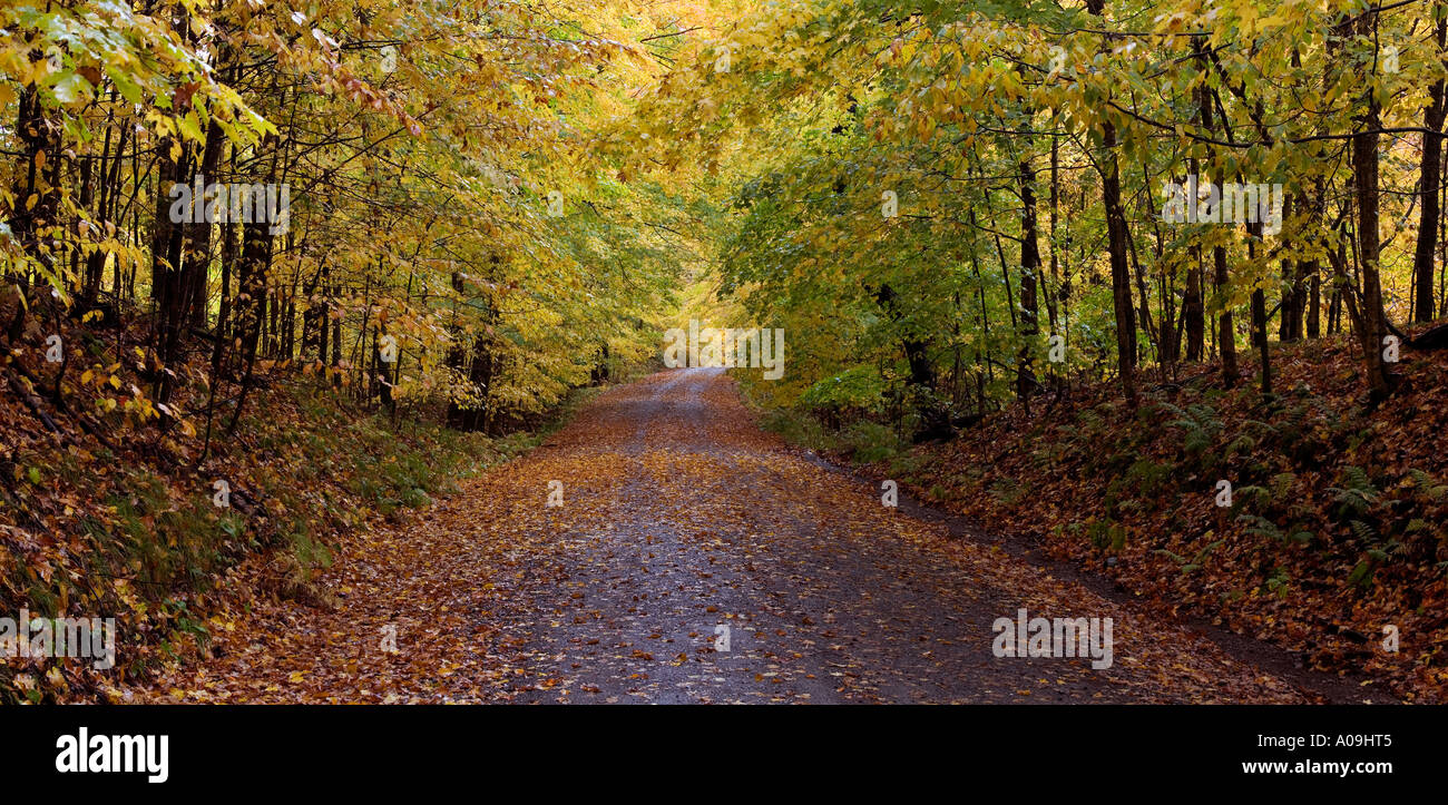 National Forest Road 2150 Stockfoto