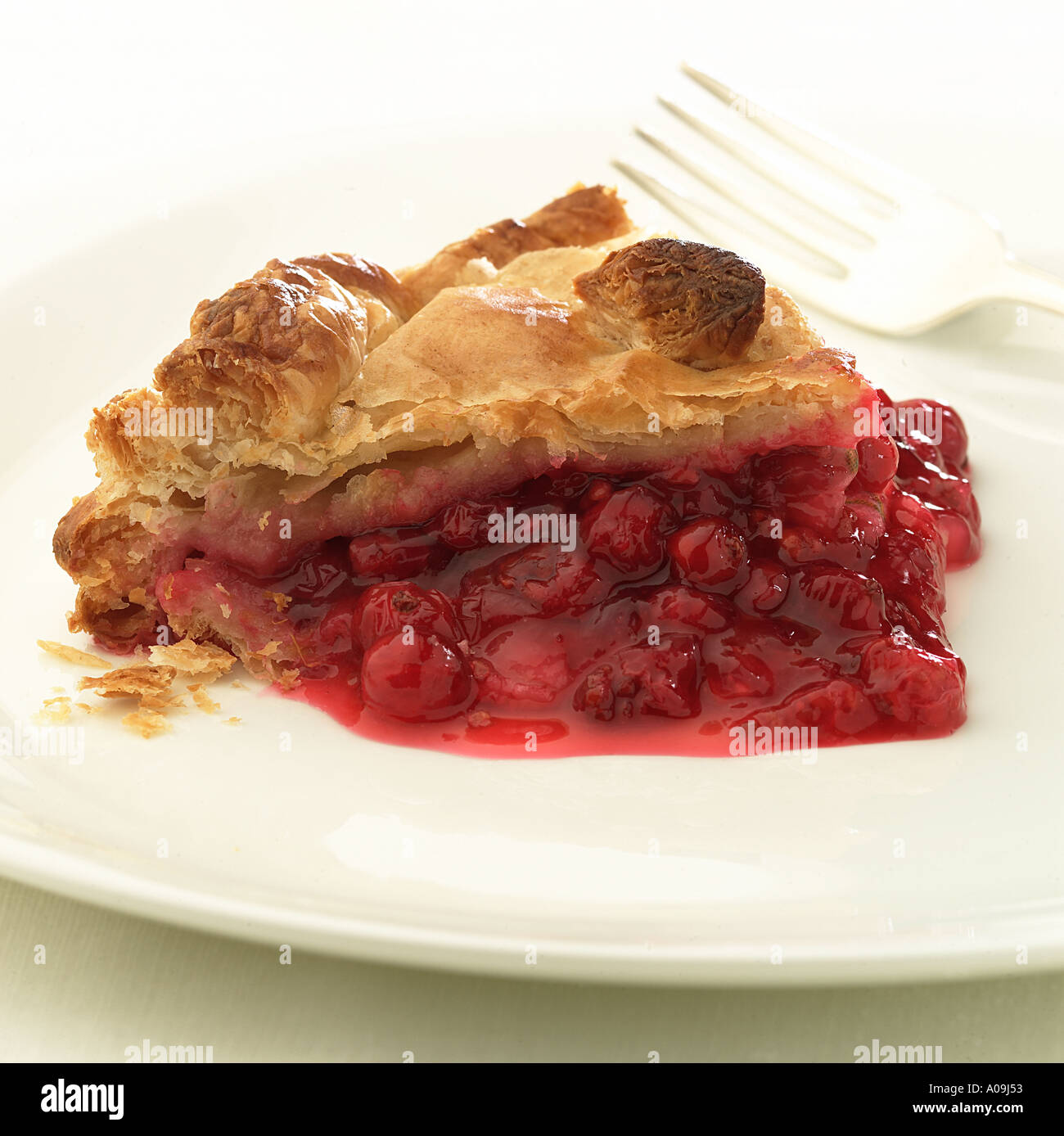 Johannisbeer Torte einzelne Portion auf weißen Teller mit Gabel Keywords Gebäck Tafelobst Stockfoto