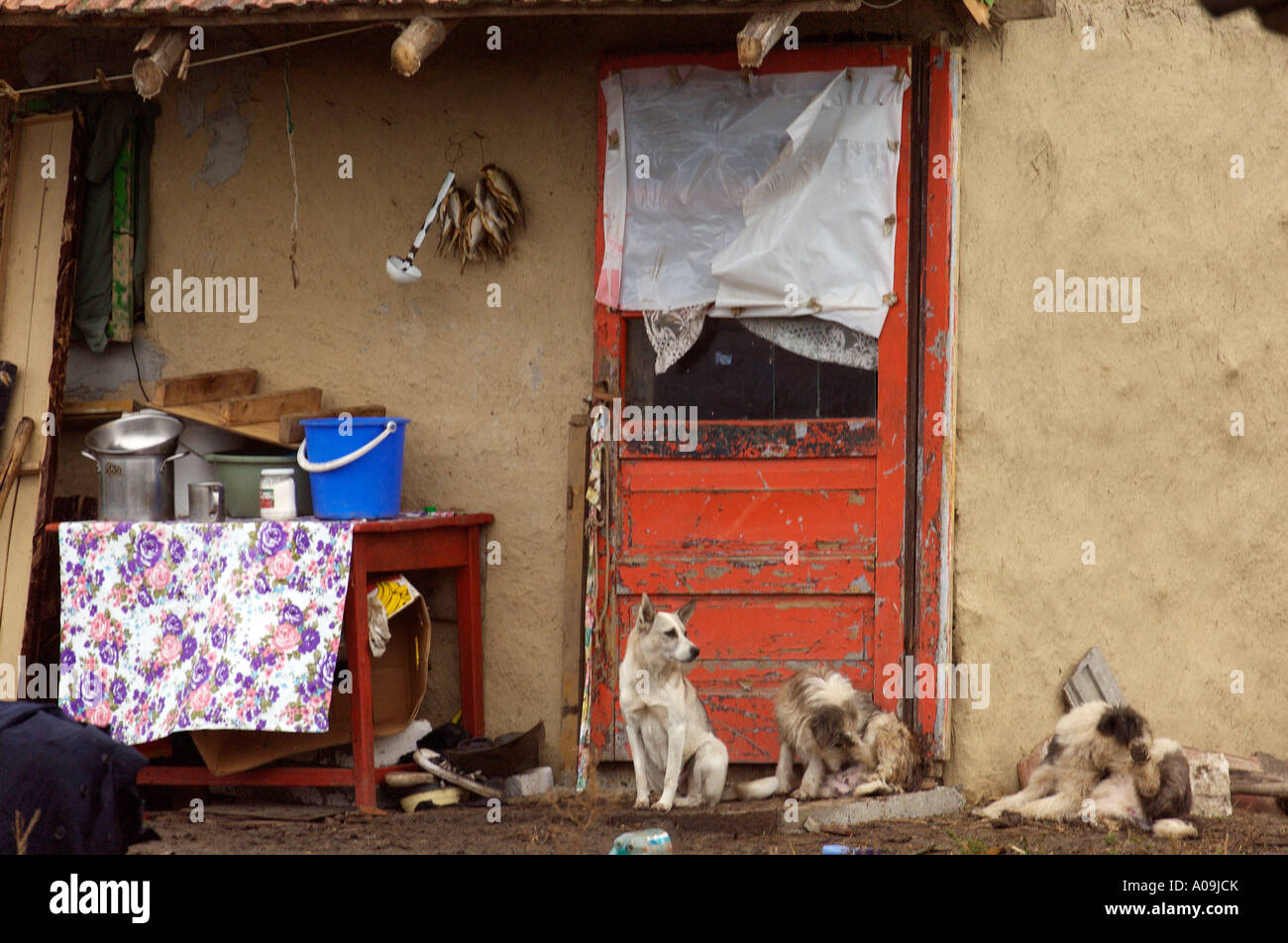 Romani Gipsy Gemeinschaft Dorf im Bezirk Spantov, Südosten Rumäniens. Stockfoto