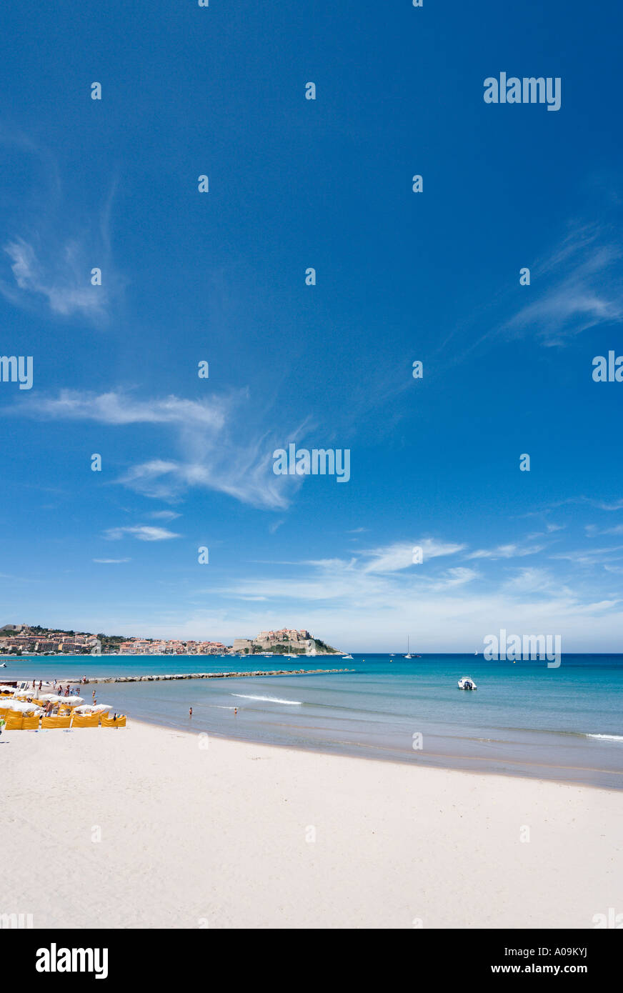 Strand mit der Zitadelle in der Ferne, Calvi, La Balagne, Korsika, Frankreich Stockfoto