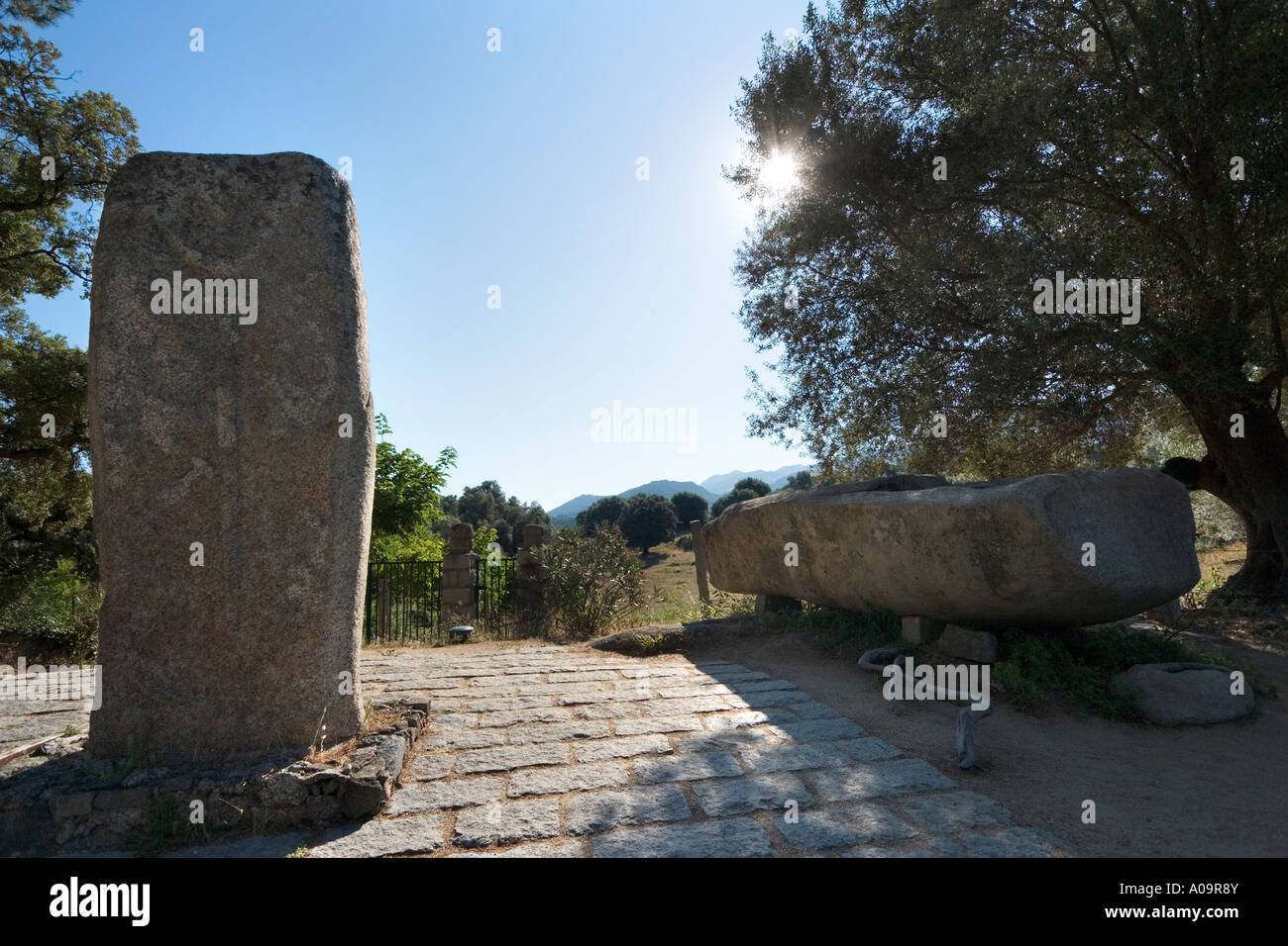 Menhir nahe dem Eingang zu den Filitosa prähistorische Stätte, in der Nähe von Alta Rocca, Propriano, Korsika, Frankreich Stockfoto