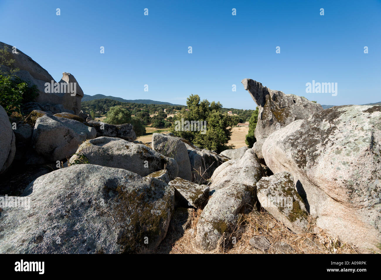 Die Dinosaurier in Filitosa prähistorische Stätte, in der Nähe von Alta Rocca, Propriano, Korsika, Frankreich Stockfoto