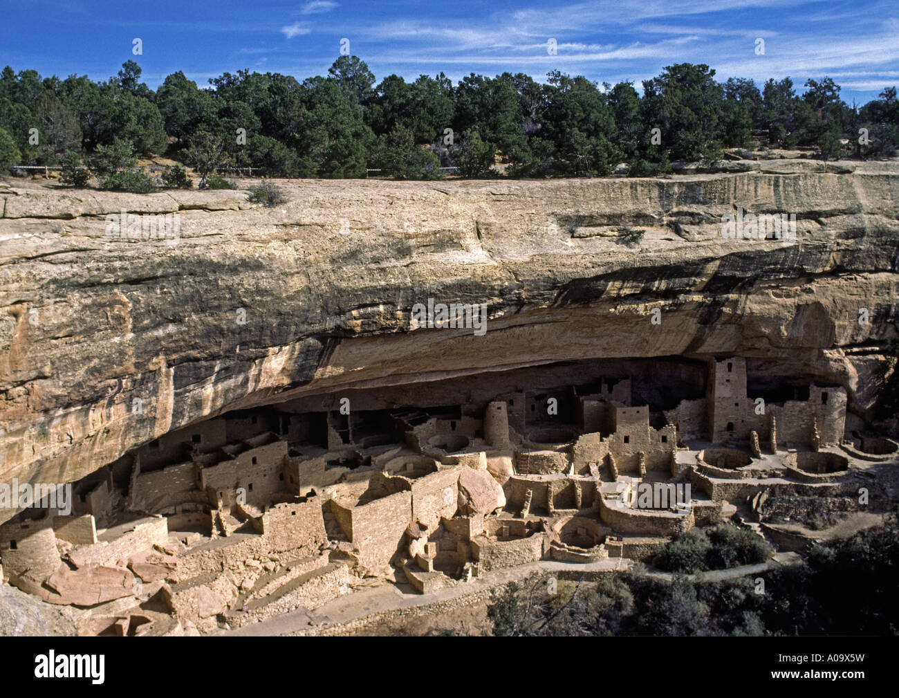 CLIFF PALACE ist die umfangreichste ANASAZI-Ruine von MESA VERDE Nationalpark COLORADO 1200 n. Chr. Stockfoto