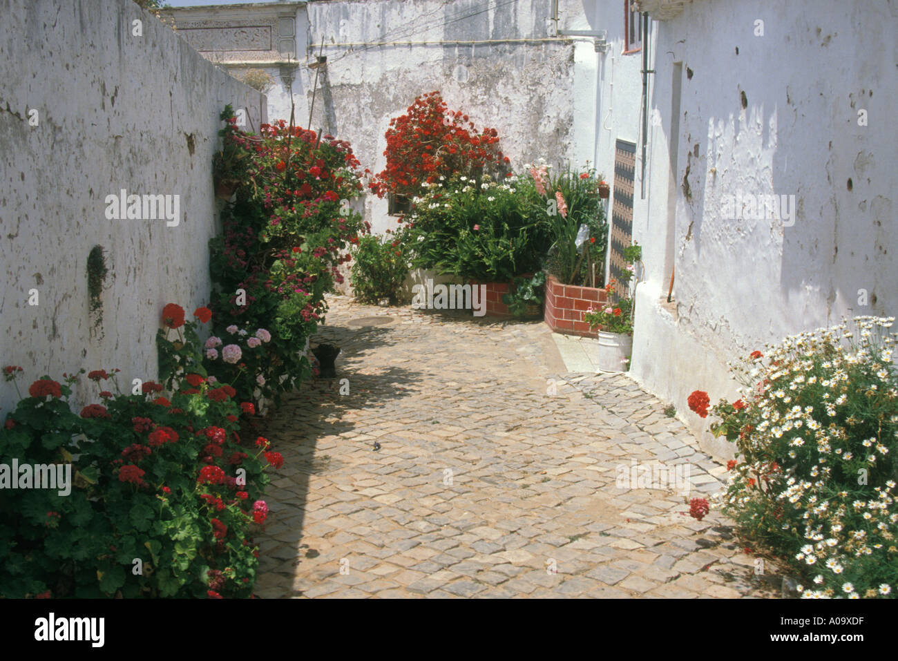 Floral Street in dem kleinen Dorf der alten nördlichen Algarve Portugal Stockfoto