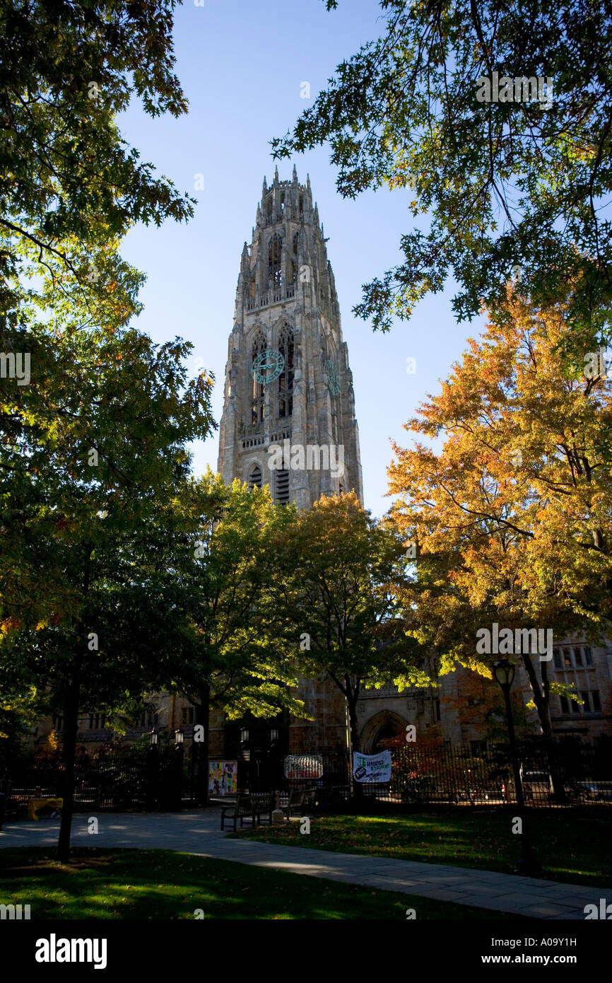 Harkness Turm Yale Universität Stockfoto