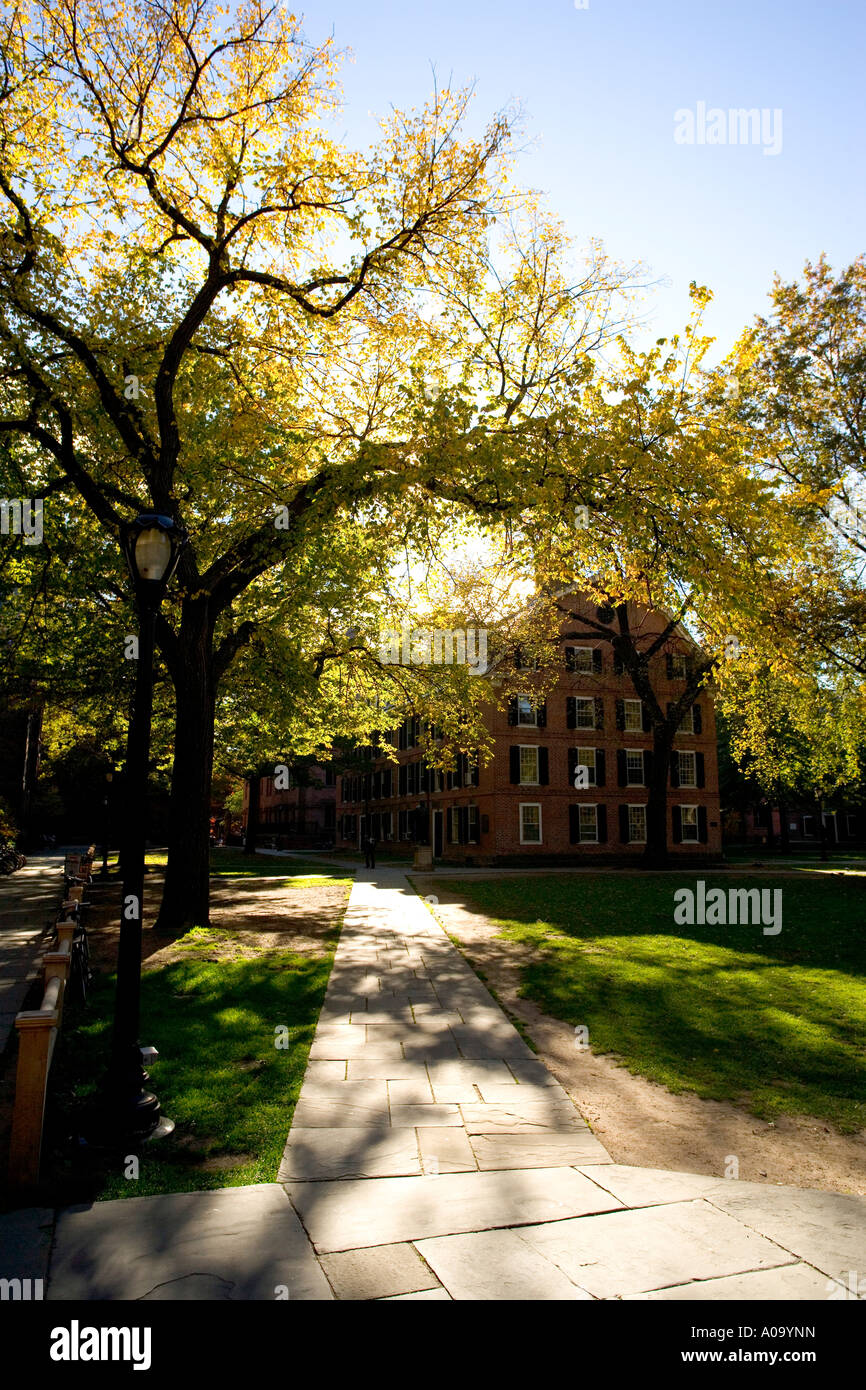 Ivy-league Campus der Yale Universität im Herbst Stockfoto