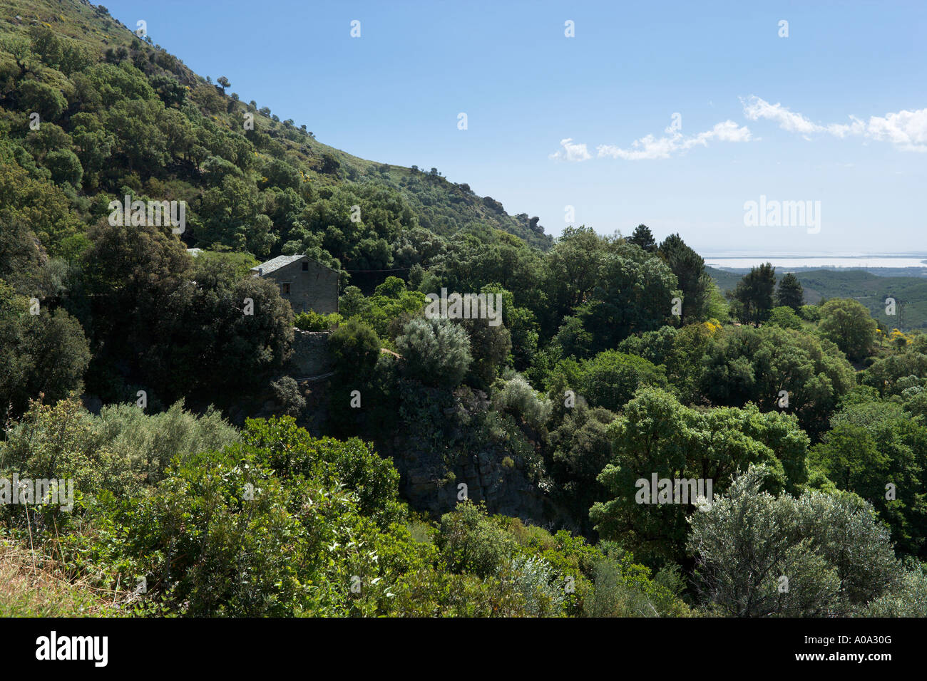 Landschaft in der Nähe von Murato, Nebbio Region, Korsika, Frankreich Stockfoto