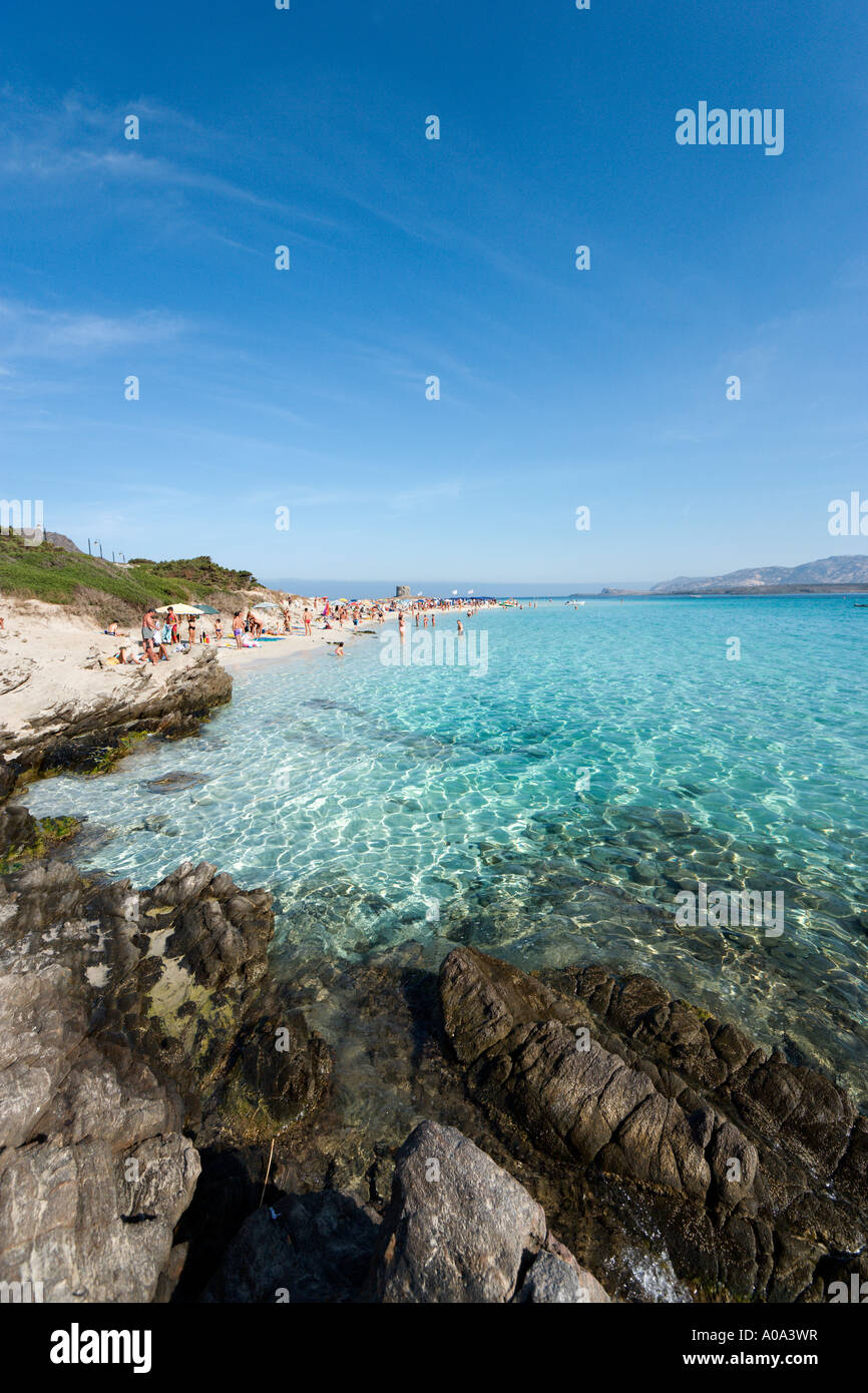 Der Strand La Pelosa in Stintino, Capo del Falcone, Sardinien, Italien Stockfoto